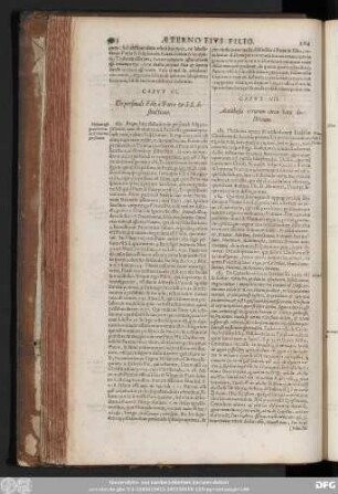 Caput VII. Antithesis errorum circa hanc doctrinam.