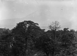 Landschaft und Kibo : Landschaft im Kilimandscharo-Gebiet mit dem schneebedeckten Kibo im Hintergrund