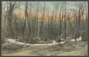 Ansichtskarte Morgenröte über der "Wolfsschlucht", Viktoriapark