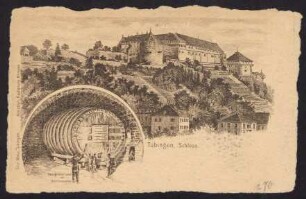 270, Tübingen, Schloss. Das grosse Fass im Schlosskeller.