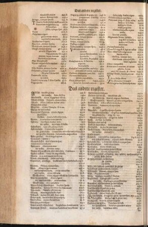 Das andere register
