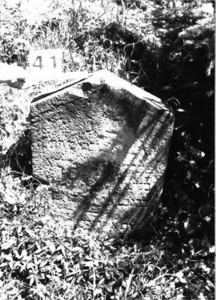 Grabstein 41 (Index: 99897417) Zustand: stark verwittert Maße HxBxT: 74x53x11 cm: Grabstein 41