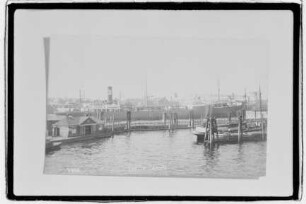 Thalia (1926), BAPICO.- Baltische-Amerikanische Petroleum Import GmbH, Danzig