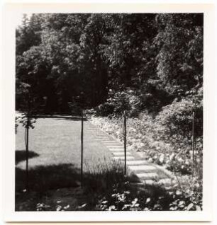 Garten Dr. Voss: Sommergarten