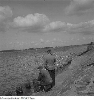 Die Goor. Angler