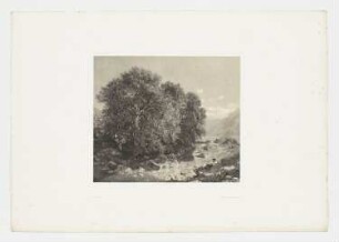 Berglandschaft mit ruhendem Mann und Bäumen, Blatt 65 der Folge "Werke"