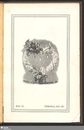 Tafel IX : Beschreibung Seite 123