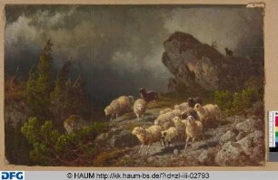 Schafherde in einer felsigen Landschaft