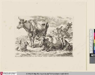 [Ruhende Kühe und Schafe auf der Weide; The Set of the Animals, 1 ; La vache couchée près de celle qui est debout]