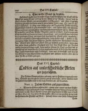 Das XVI. Capitel. Endten auf unterschiedliche Arten gut zuzurichten.
