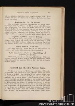 Auswahl der schönsten Freiland-Farne.