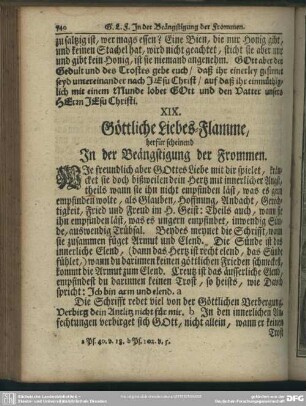XIX. Göttliche Liebes-Flamme, herfür scheinend In der Beängstigung der Frommen