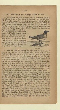 XII. Das Leben an und in Flüssen, Teichen und Seen
