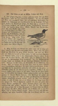 XII. Das Leben an und in Flüssen, Teichen und Seen