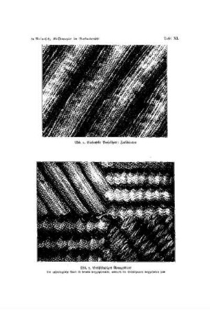 Zu Reintsch, Kleisterpapier im Werkunterricht : [ S. 465-472 ; Ill.]