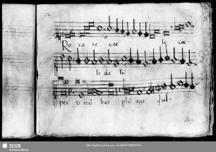 Thomas Stolzer: Rorate caeli