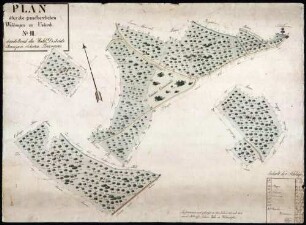 Plan über die grundherrlichen Waldungen zu Umkirch