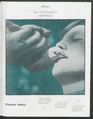 La fotografía artística : Palomita blanca...