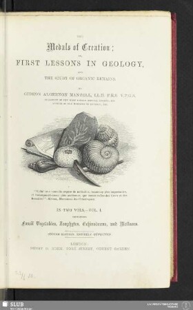1: Fossil Vegetables, Zoophytes, Echinoderms, and Molluscs