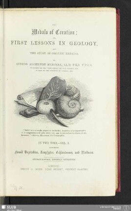 1: Fossil Vegetables, Zoophytes, Echinoderms, and Molluscs