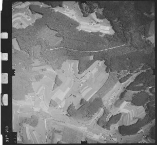 Luftbild: Film 48 Bildnr. 217