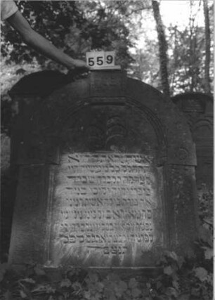 Grabstein 559