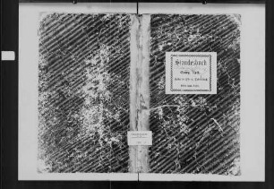 Mittelschefflenz, evangelische und katholische Gemeinde: Standesbuch 1868-1869