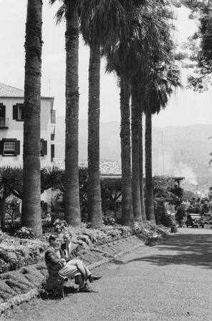 Reisefotos Madeira. Der Bordfotograf Franz Grasser mit seinem Freund Alex auf einer Parkbank