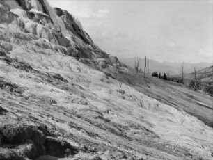 Mammoth Hot Springs : Sinterterrassen von Mammoth Hot Springs im Yellowstone-Nationalpark
