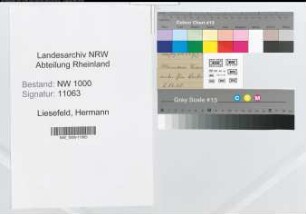 Entnazifizierung Hermann Liesefeld, geb. 13.11.1895 ()