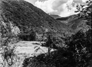 Tal des Rio Miguilla mit Reisfeld : Blick in ein Bergtal mit Reisfeld