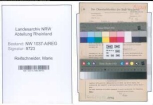 Entnazifizierung Marie Reifschneider , geb. 29.01.1893 ()
