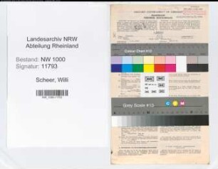 Entnazifizierung Willi Scheer, geb. 03.04.1900 (Buchhalter)