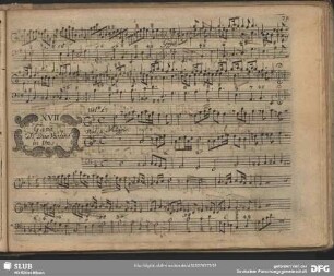 XVII Gara di due violini in uno