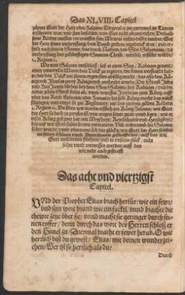 Das acht und viertzigst Capitel.