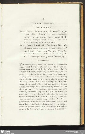 Crania Parisiensis. Tab. CCCCVIII