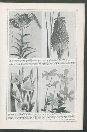 [Seiten 5279 - 5378]