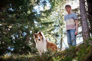 Lassie - Ein neues Abenteuer