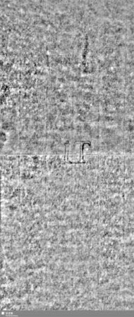 Lilie / Tj = S.111/12+37/38