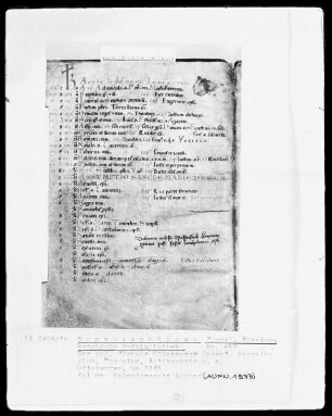 Hs. 653 & Braune Ottobeurer Codex & Necrologium Computus & fol 8v