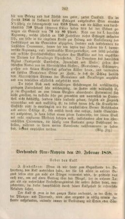 Verhandelt Neu-Ruppin den ...