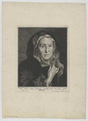 Bildnis der N. Franck