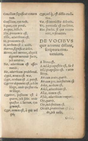 De Vocibus quae accentu distant, scriptura conveniunt.