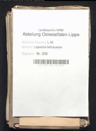 Preußische Werbungen in Lippe