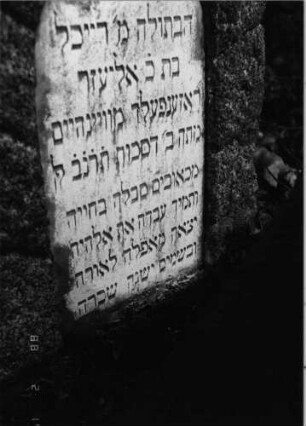 Grabstein 962 (Index: 99802664) Material: Marmorplatte in Granit Maße HxBxT: 56x42x24 cm Beschreibung: Stele mit Flachbogenabschluß, Inschriftenplatte Besonderheit: Endreim: Grabstein 962 (Detailaufnahme)