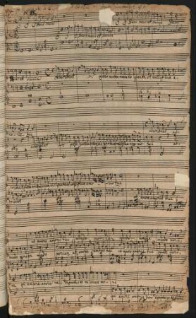 O Deus meus et omnia absorbeat; S (2), bc; g-Moll