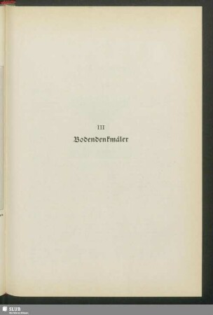III. Bodendenkmäler