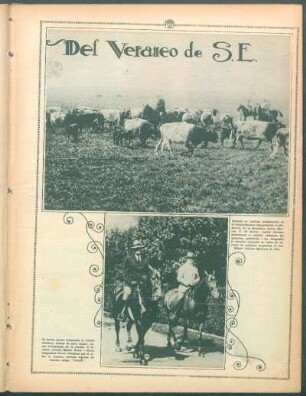 Del veraneo de S.E.