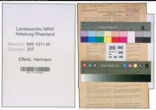 Entnazifizierung Hermann Effertz , geb. 06.07.1895 (Baecker)