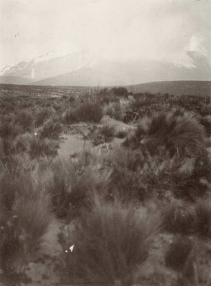 Hochland von Ecuador